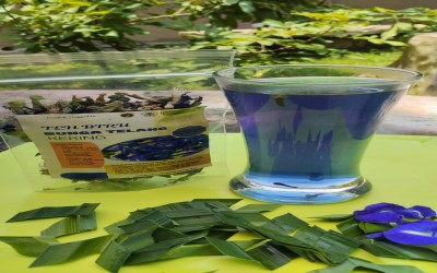 TEH BIRU BUNGA TELANG